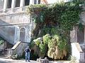 Ruins-Spring & Ervin